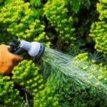 a-gardener-watering-plants-in-a-flowerbed-2RT8DWL.jpg