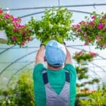 gardener-and-his-flowers.jpg