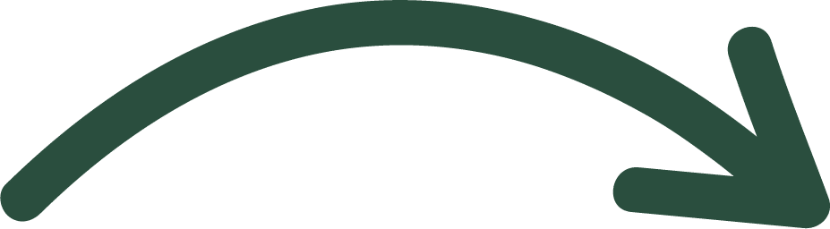 arrow Asset 4