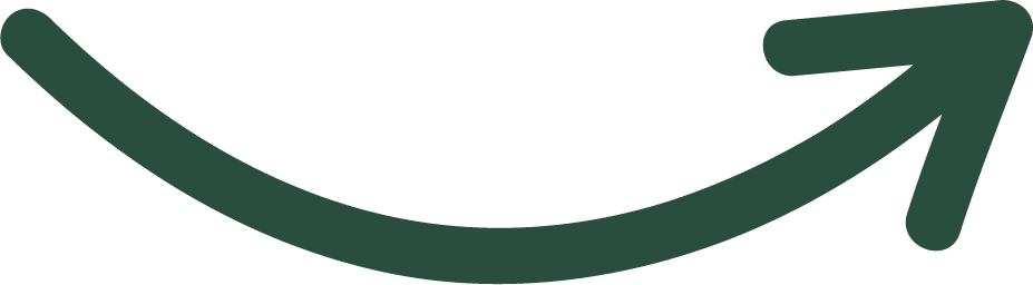 arrow Asset 5